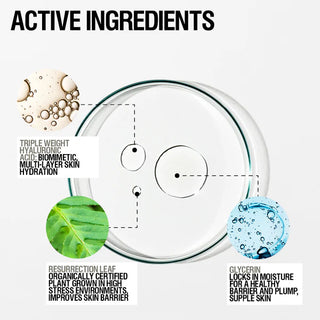 Grown Alchemist Instant Smoothing Serum ingredients