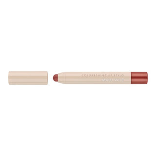 Color & Shine Lip Stylo brown sugar malu wilz