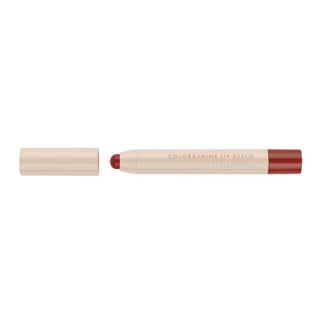 Color & Shine Lip Stylo bold blackberry malu wilz