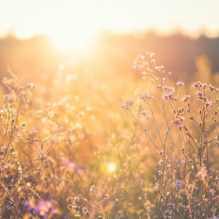 Wat te doen tegen zonneallergie?