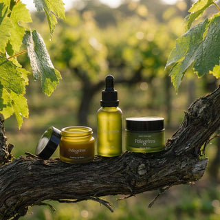 Pelegrims gezichtsverzorging