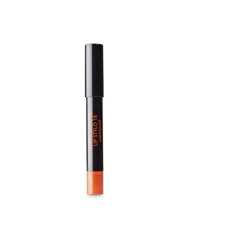 Long Lasting Lip Stylo 18