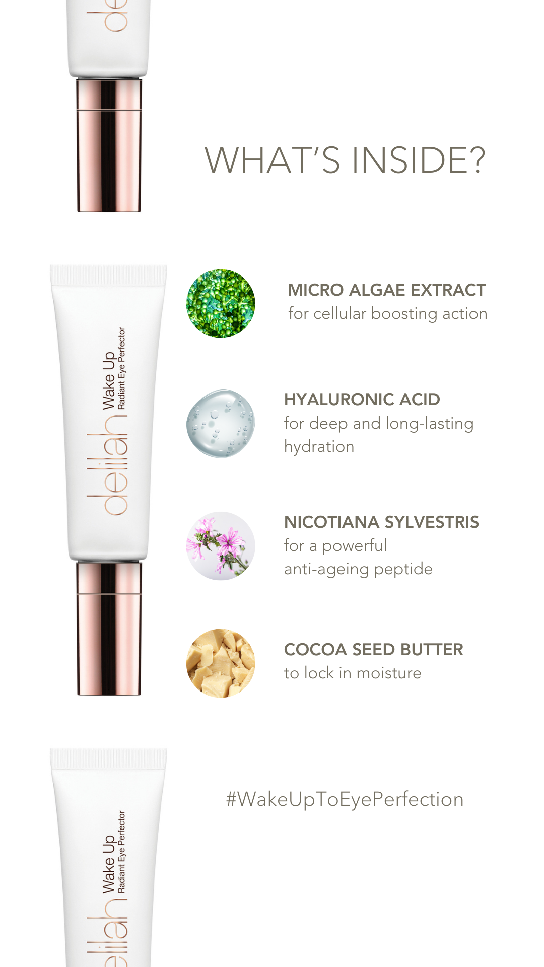 Delilah Wake Up - Eye Perfector ingredients
