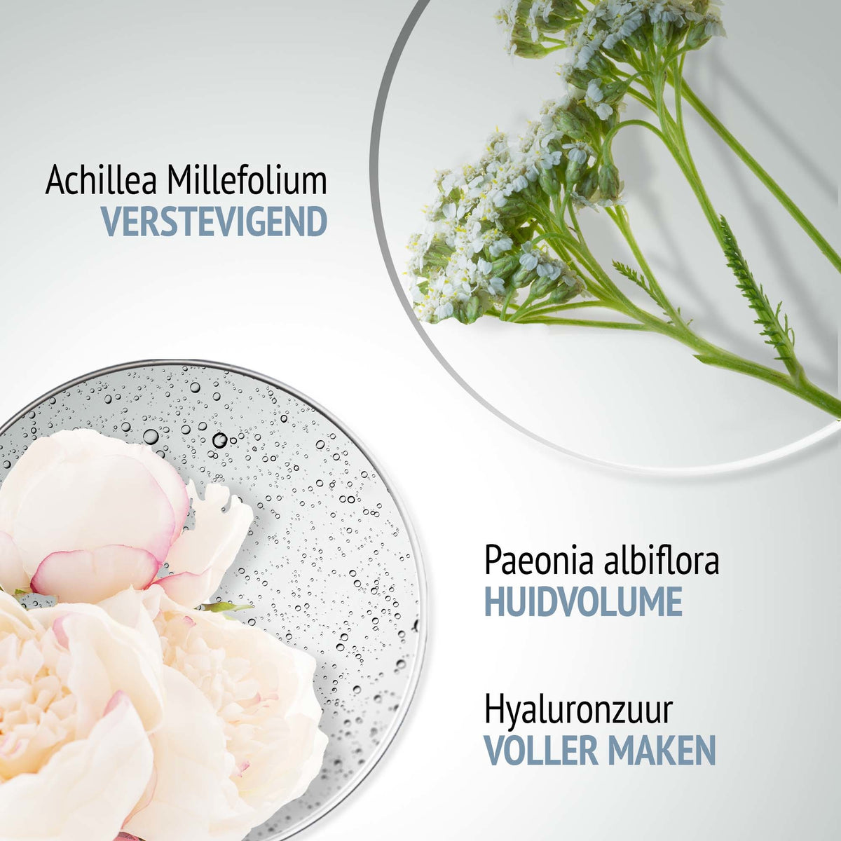 Comfort Zone Sublime Skin Cream ingredients