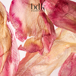 Eau de Parfum - Tabac Rose | BDK Parfums