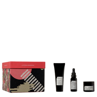 The Regeneration City