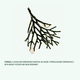 Cypress Shampoo 266ml
