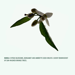 Deodorant - Neroli 75gr