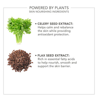 Wake Up Secret Skin Smoother | Delilah