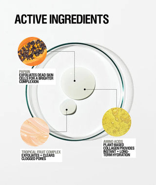 Grown Alchemist Enzyme Exfoliator ingredients