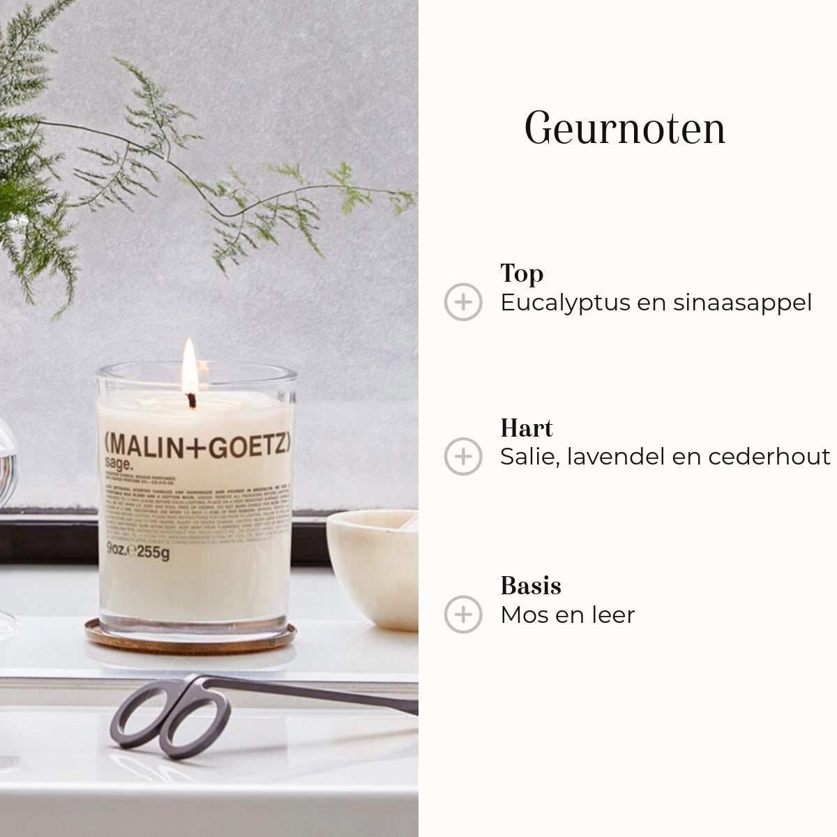 Geurkaars - Sage 260gr geurnoten