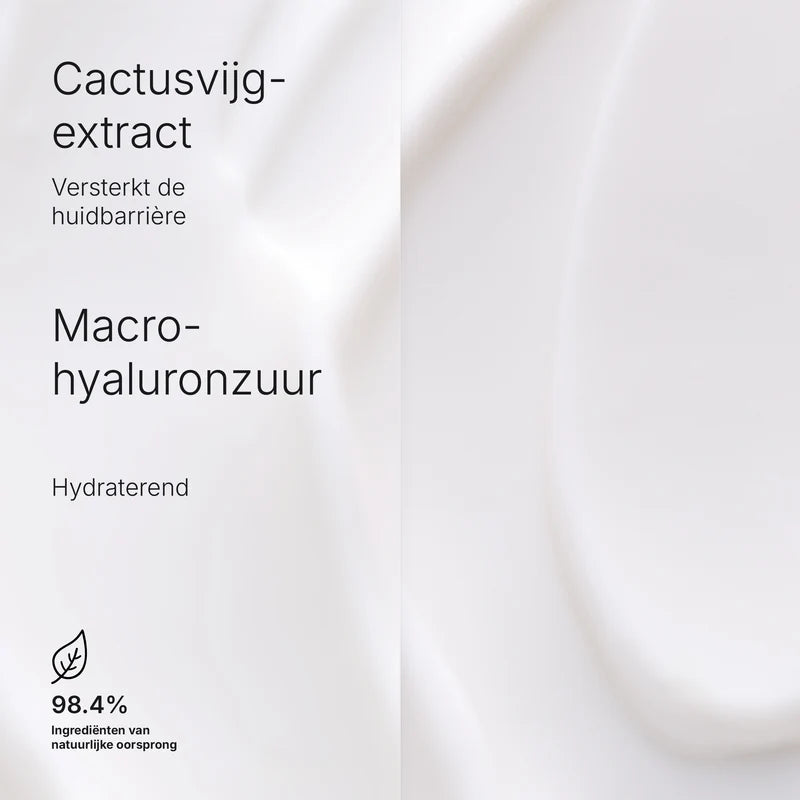 Hydramemory Rich Sorbet Cream ingredienten