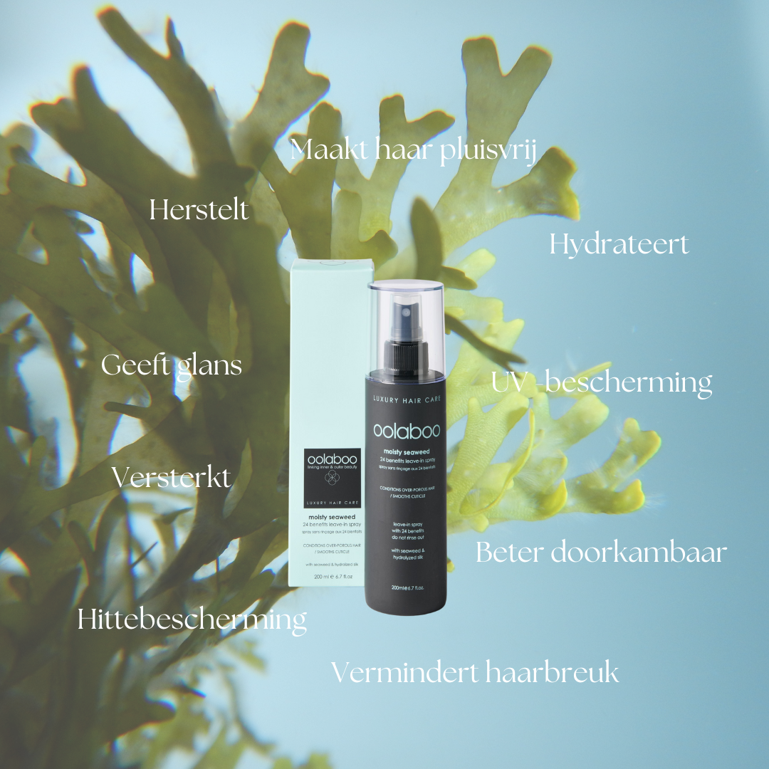 Oolaboo Moisty Seaweed 24 Benefits Leave-In Spray voordelen tussen zeewier