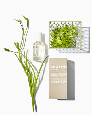 Malin+Goetz Parfum Vetiver sfeerafbeelding