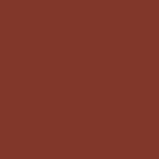 Malu Wilz Color & Shine Lip Stylo 34 Cinnamon Flame kleur