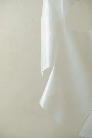 Grape Leaf Sheet Mask 1x