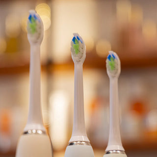 4 Replacement Brush Heads | LEBON