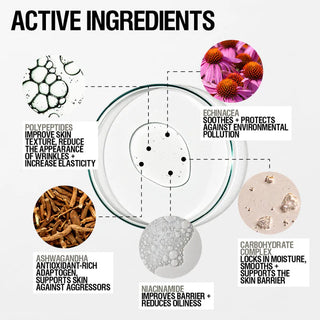 Grown Alchemist Skin Renewal Serum ingredients
