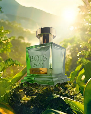 Eau de Parfum – Sandalvia 100ml