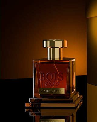 Eau de Parfum – Scorzaforza 100ml