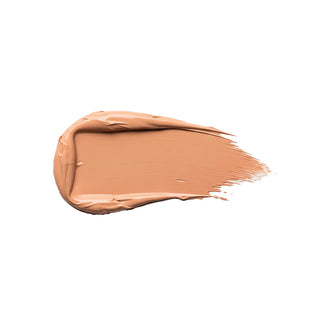 Vanish Concealer SPF50+ | Coverderm
