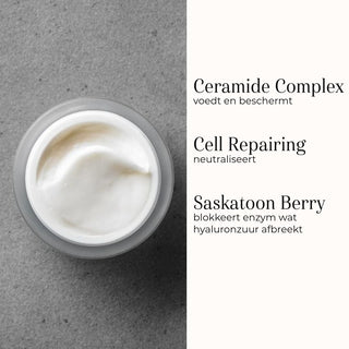 Advanced Night Restore 50ml