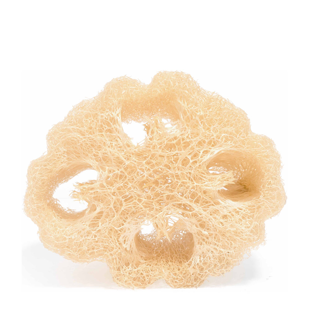 Food for Skin Loofah Veggie Sponge
