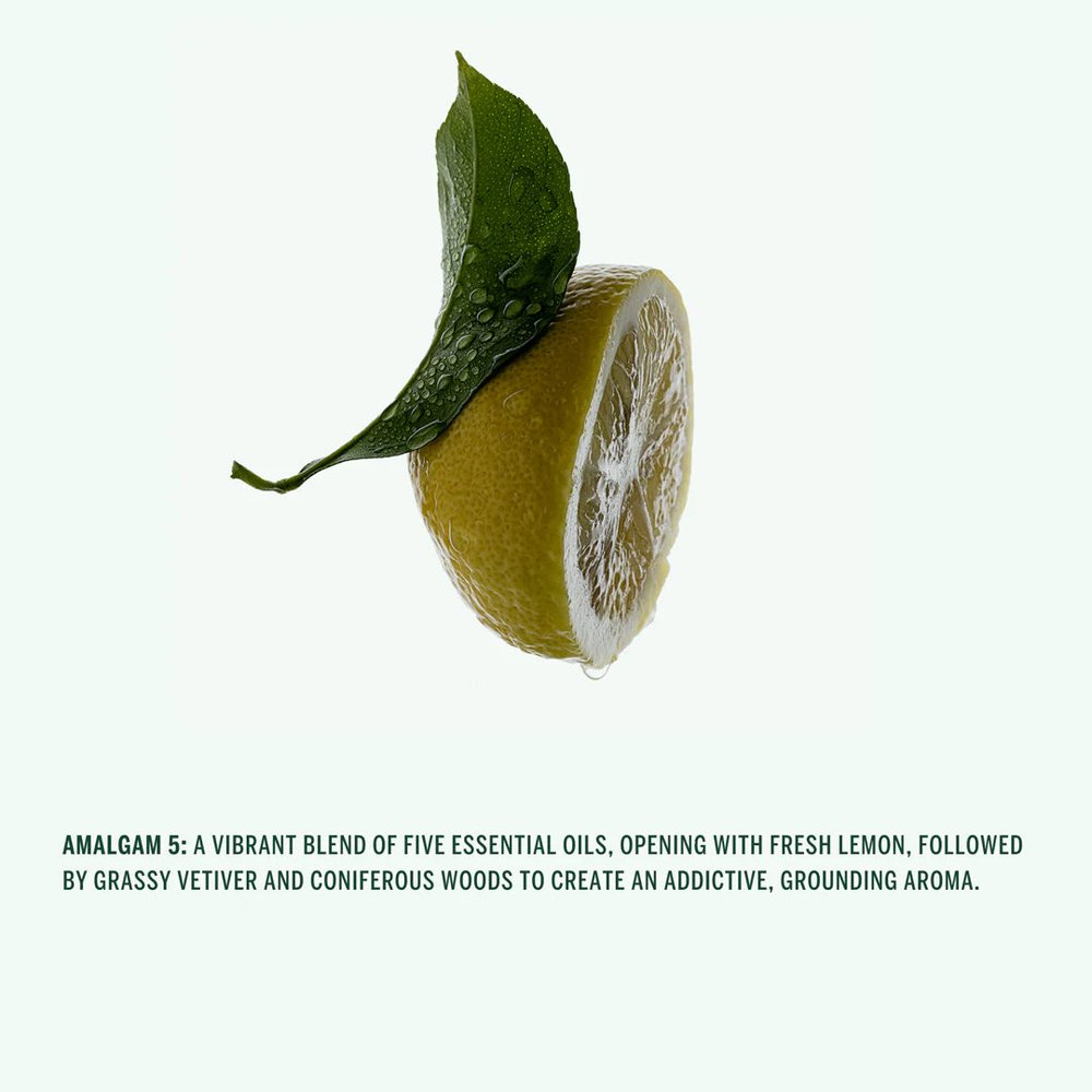 Corpus Naturals Amalgam 5 geurnoot citroen