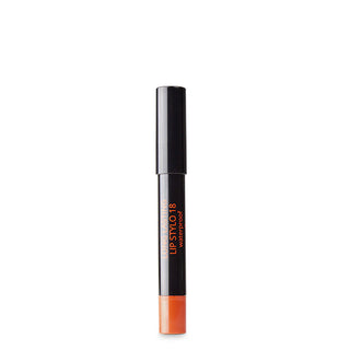 Long Lasting Lip Stylo 18