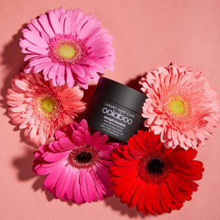 Oolaboo Straight Baobab Pomade tussen roze gerbera's