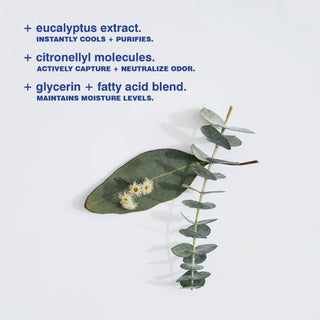 Eucalyptus Deodorant